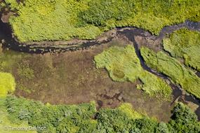 DJI_0149.jpg