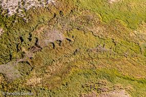 DJI_0201.jpg