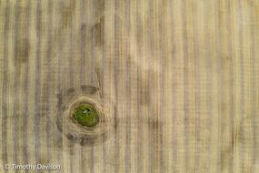DJI_0272.jpg