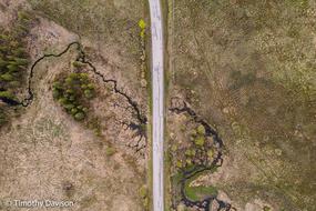DJI_0403.jpg